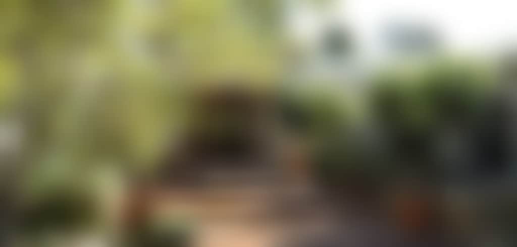 Bed and Breakfast page banner image