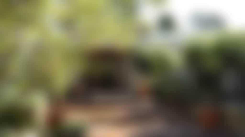 Bed and Breakfast page banner image