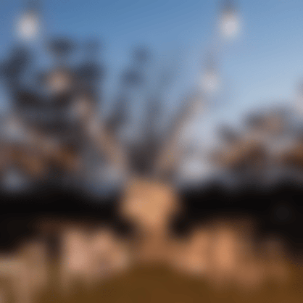 Swan Valley Summer Weddings Lily Farm House Simone Harris 3