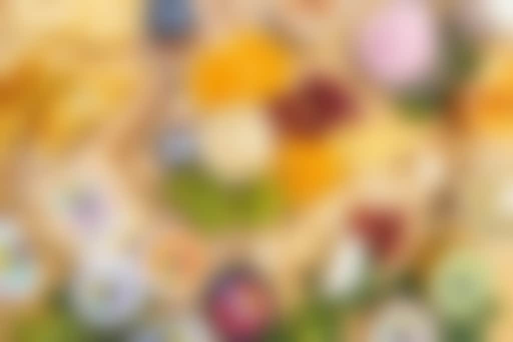 Harvey Cheese Swan Valley product spread