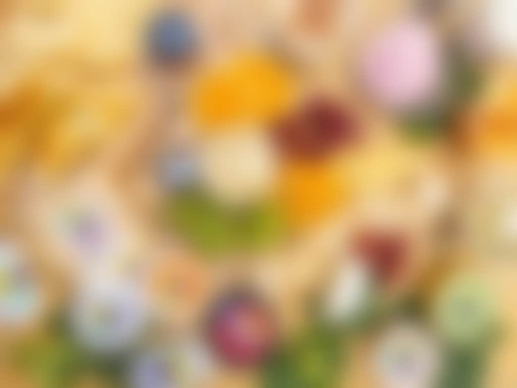 Harvey Cheese Swan Valley product spread