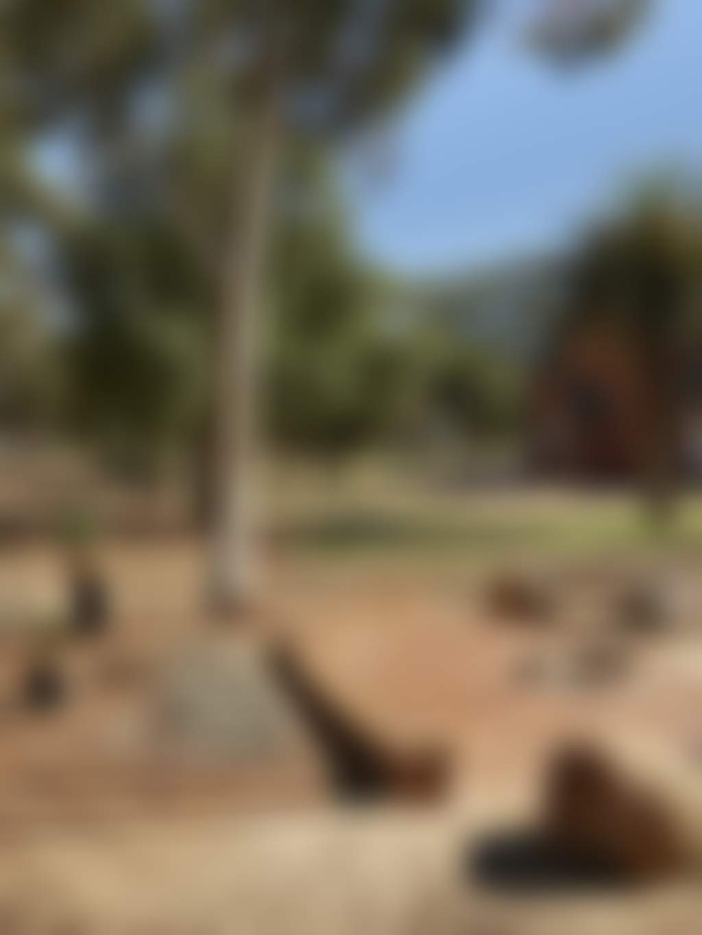 Kaleep Aboriginal Hearth Artwork