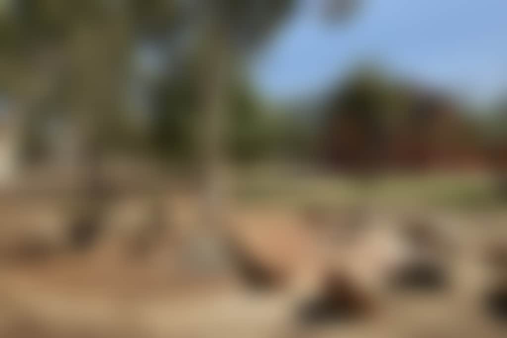 Kaleep Aboriginal Hearth Artwork