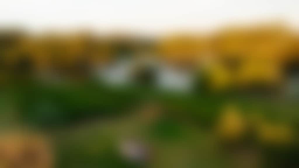 City of Swan Summer Edgecombe Brothers web Jarrad Seng 01 12 23 101