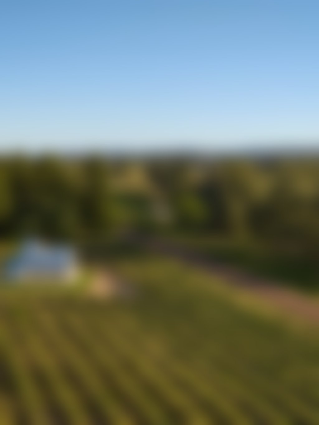 Nikola Estate