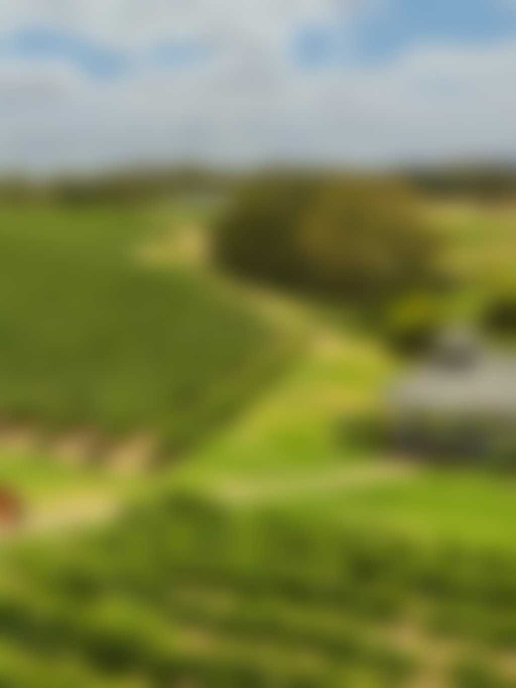 Sittella Swan Valley Banner