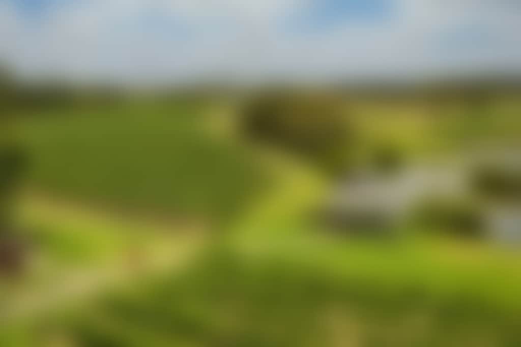 Sittella Swan Valley Banner