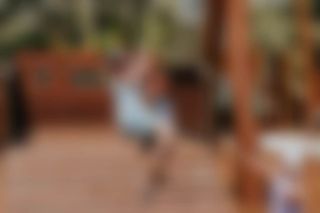 Bailey brewing co kids on the flying fox