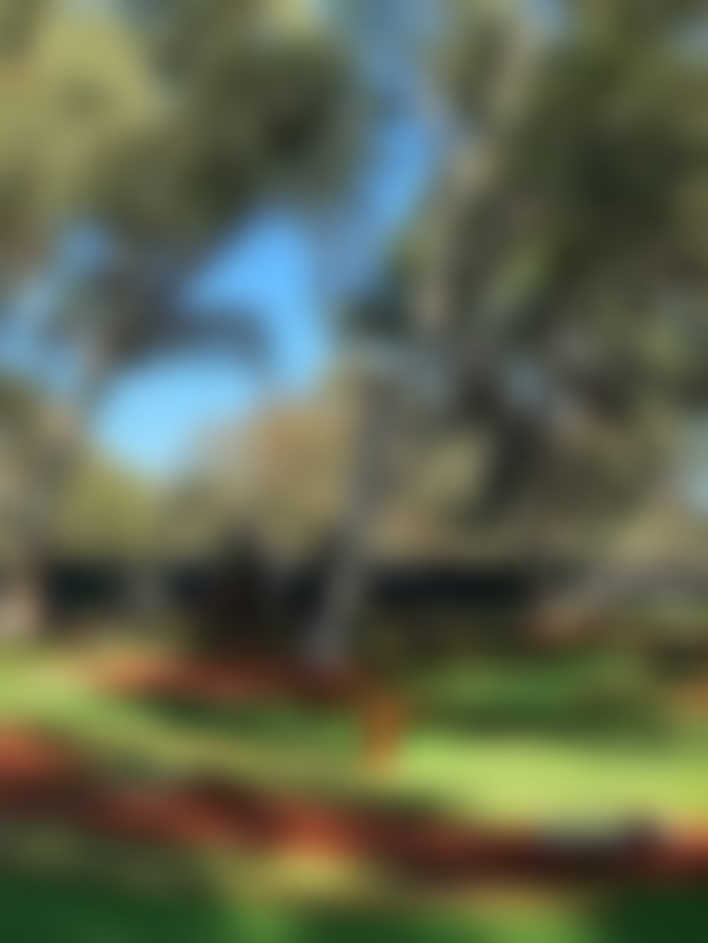 Taphouse mini golf d