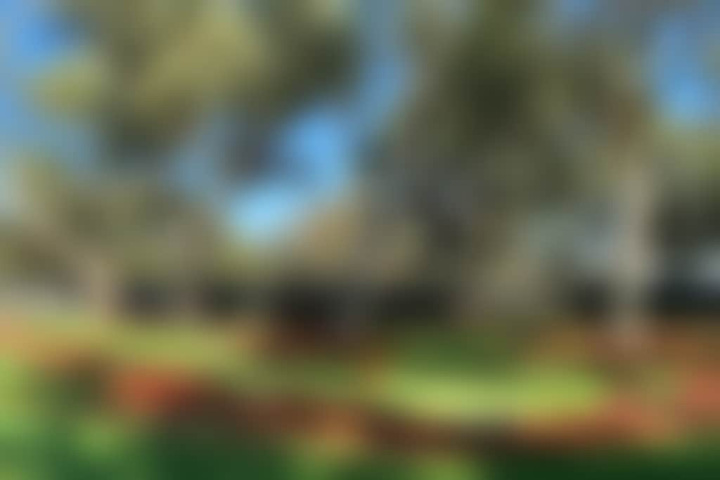 Taphouse mini golf d