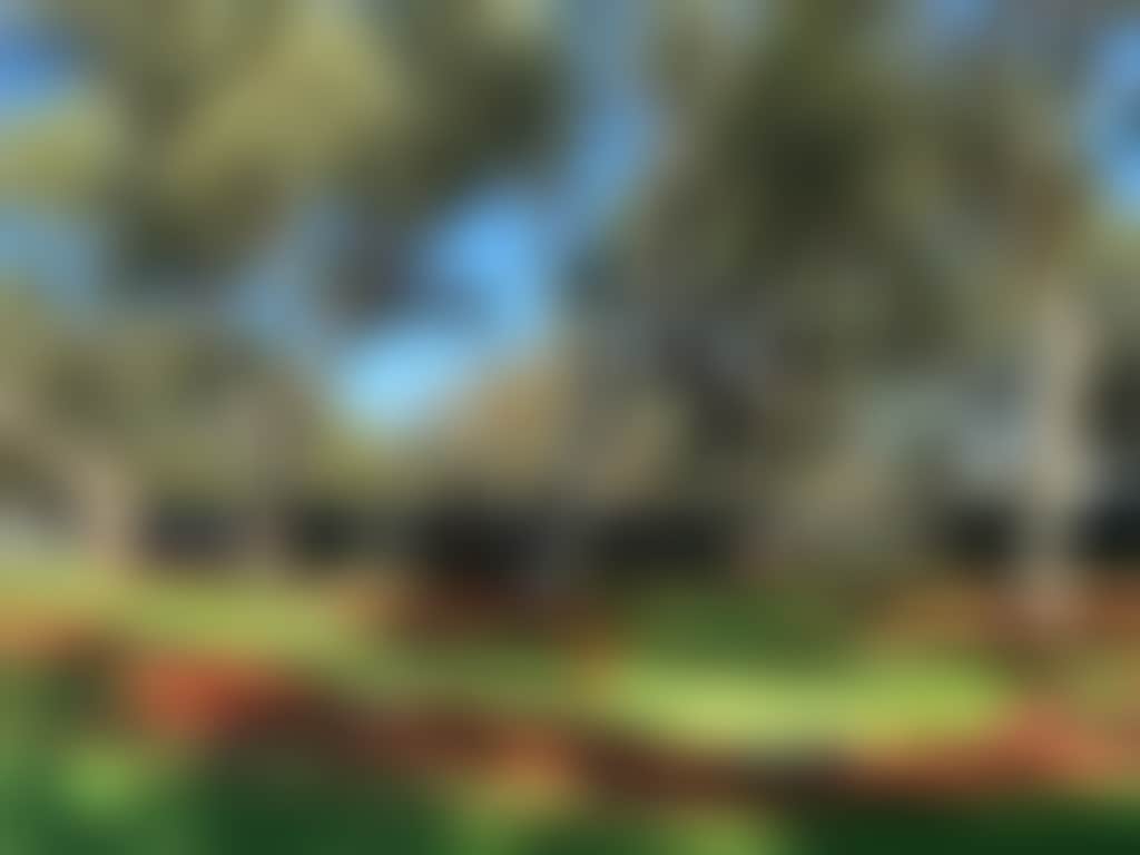 Taphouse mini golf d