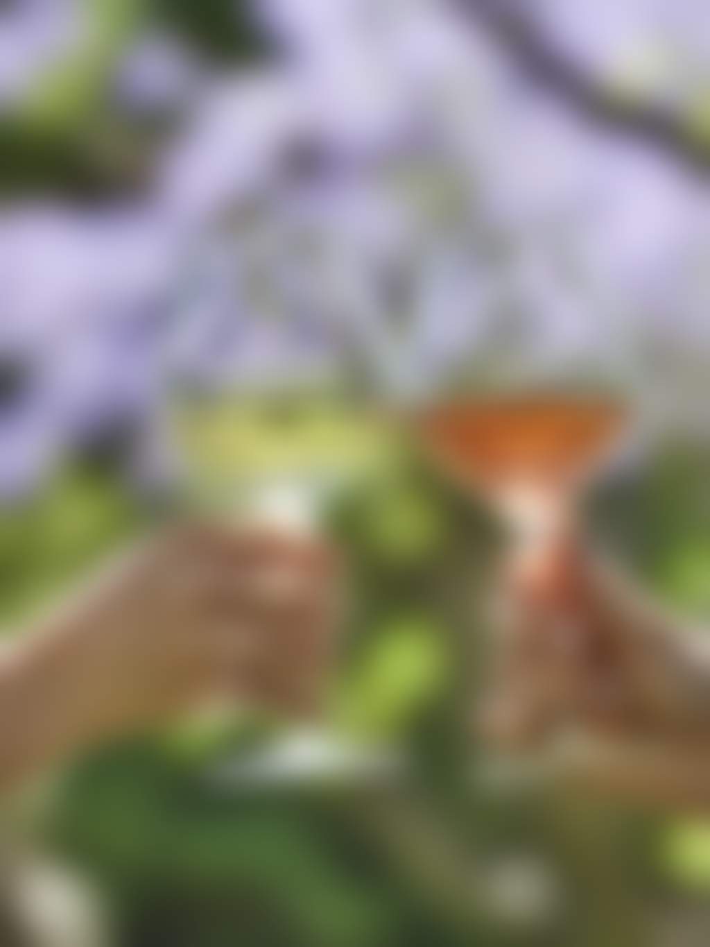 Nikola Estate white and red wine glasses