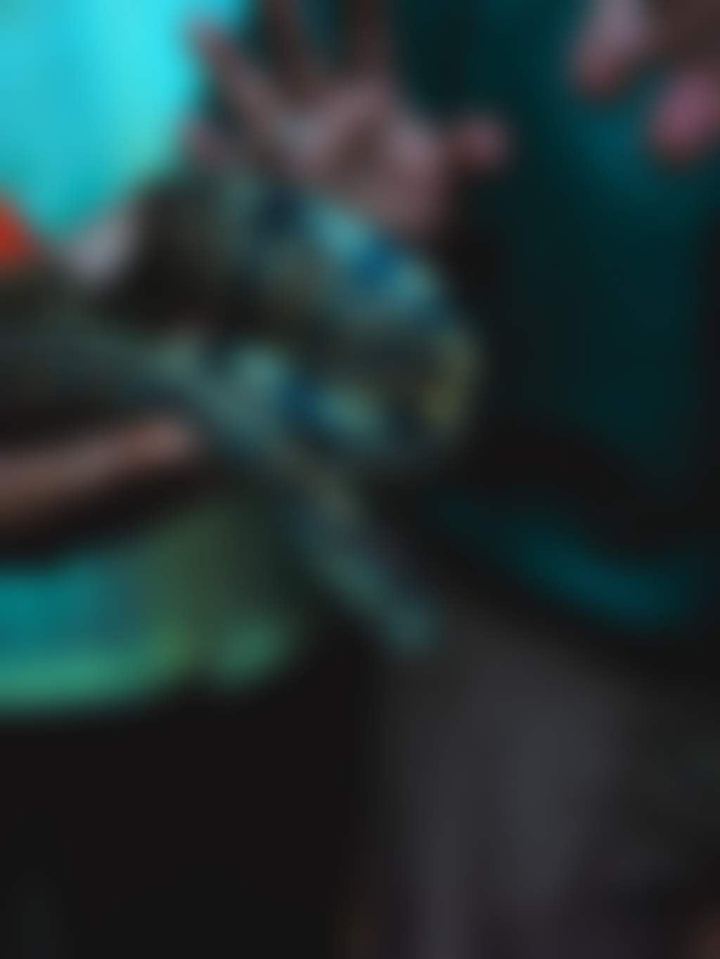 Snake or python held in hands