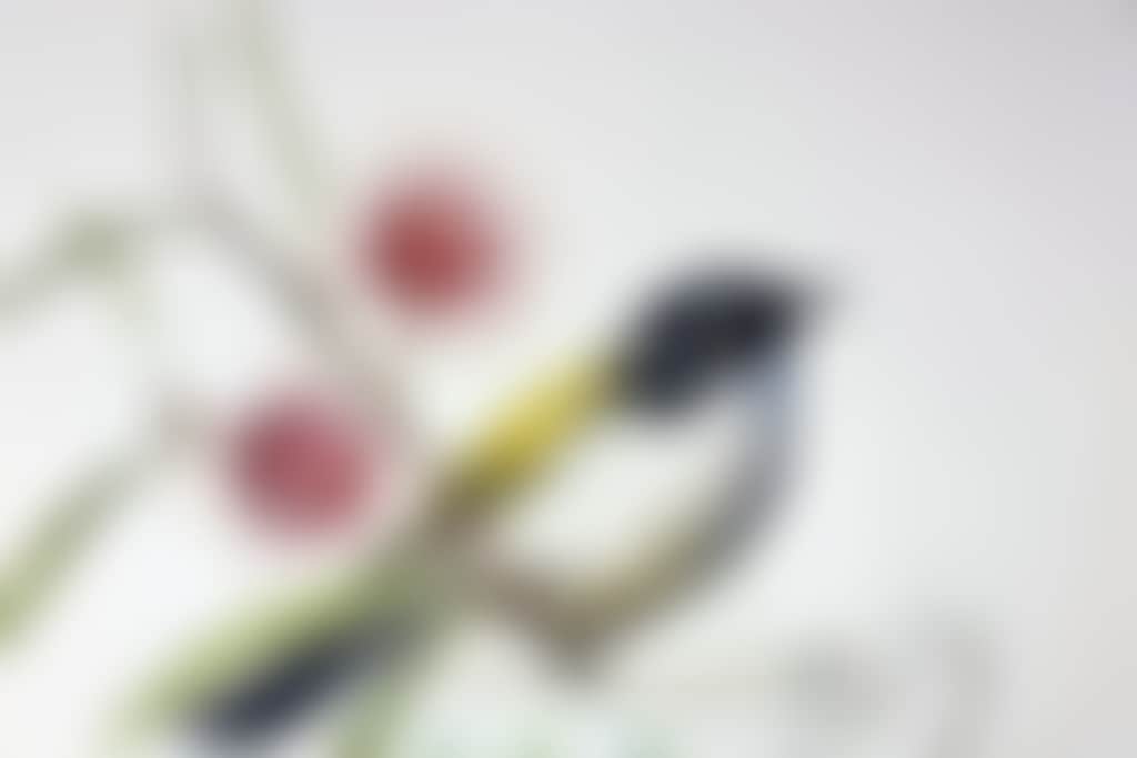 Guildford Village Potters artist Polla Posavec 2