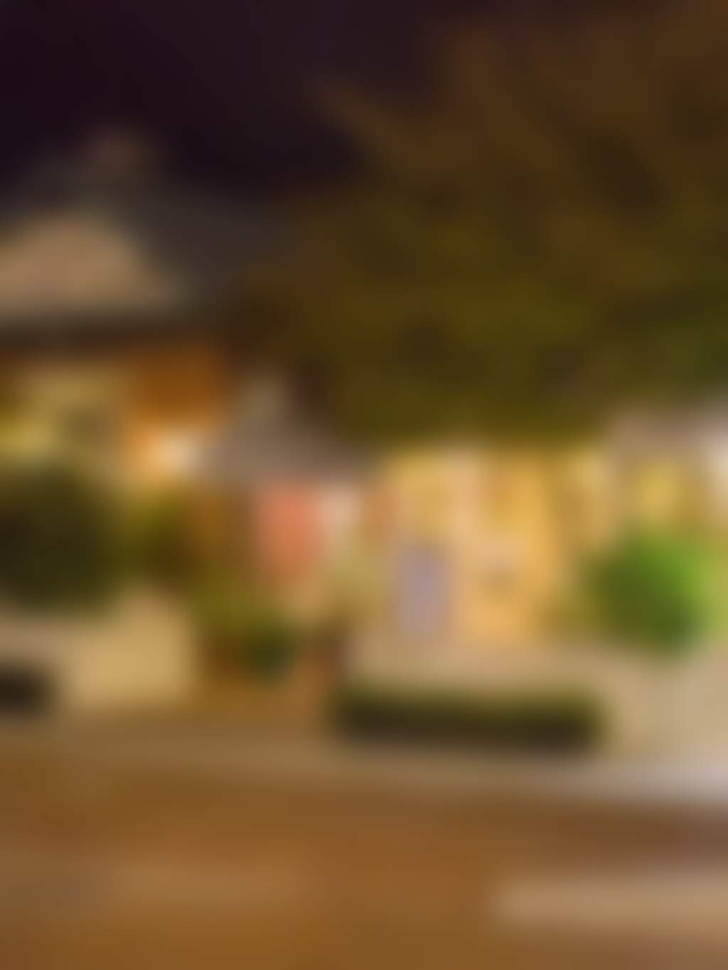 Hoang Kim Vietnamese