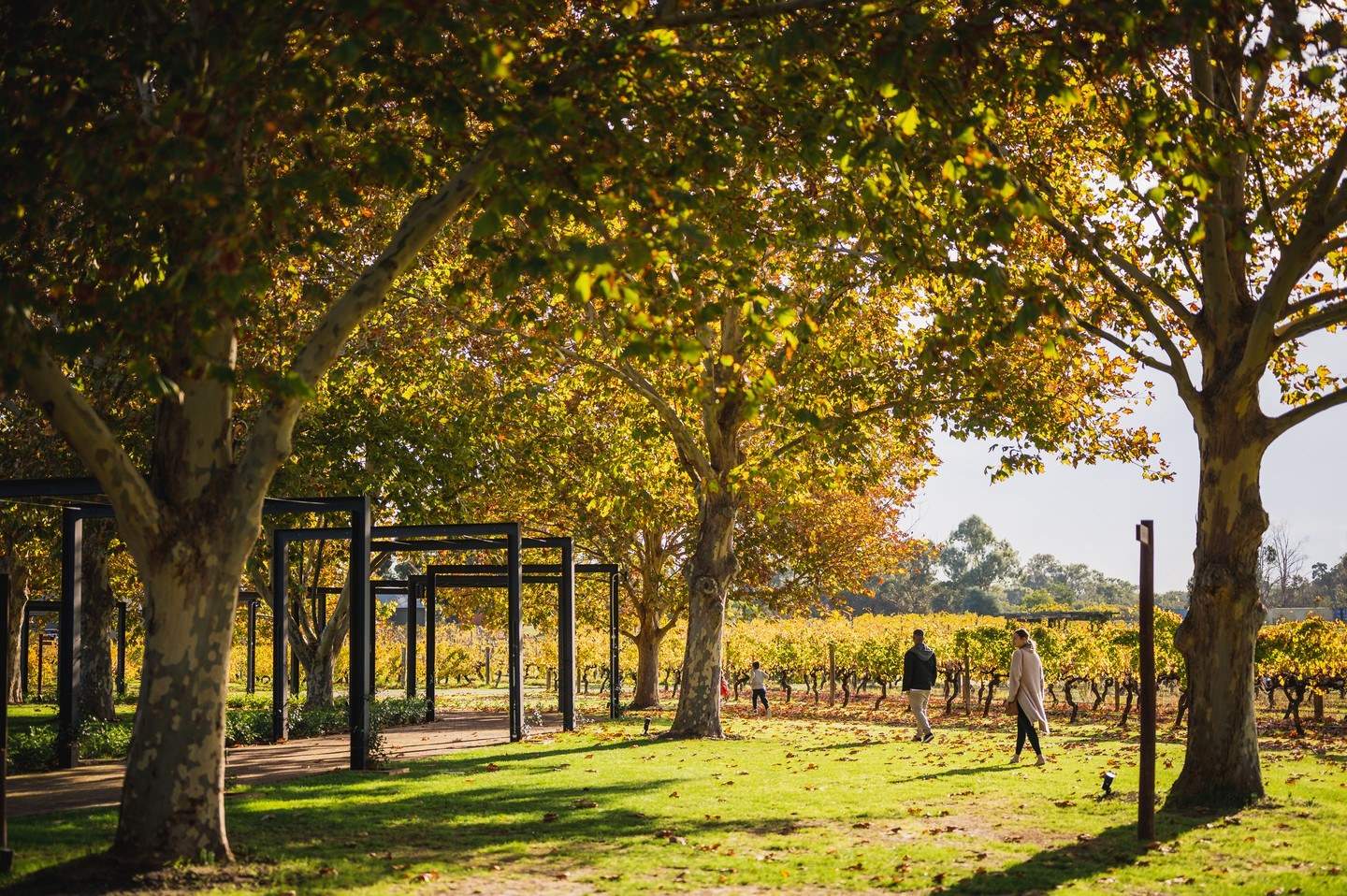 theswanvalley