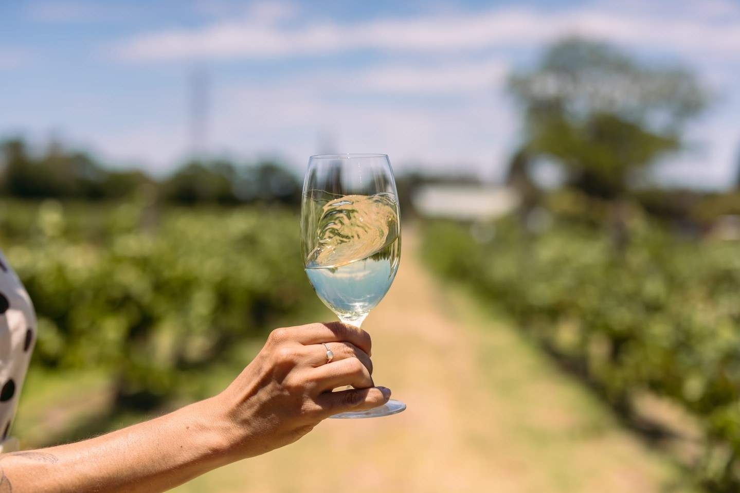 theswanvalley