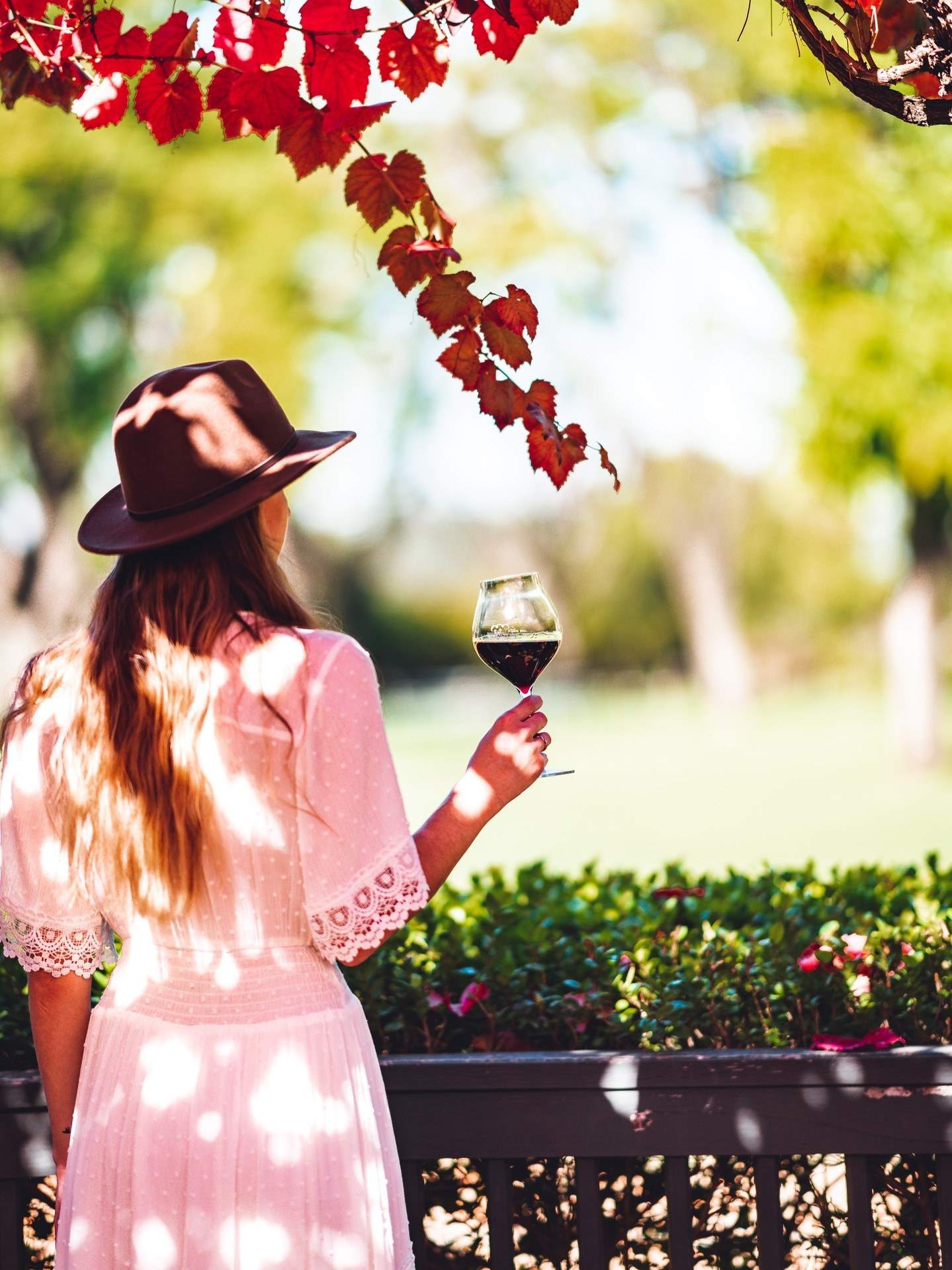theswanvalley