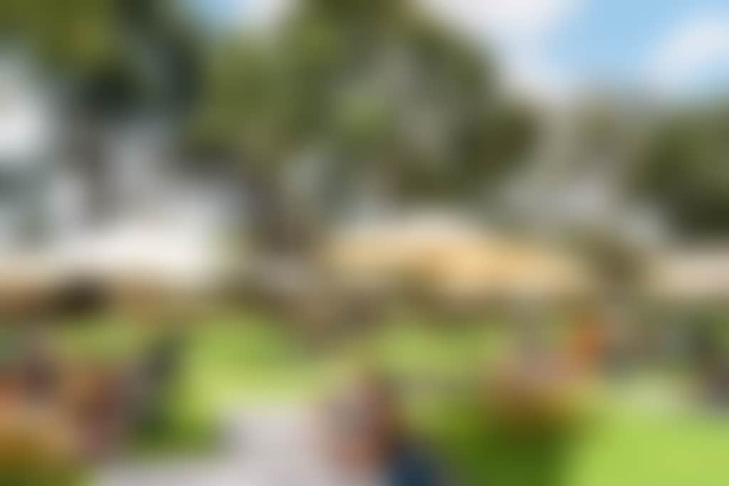 Bailey brewing co patrons picnic on the lawn copy