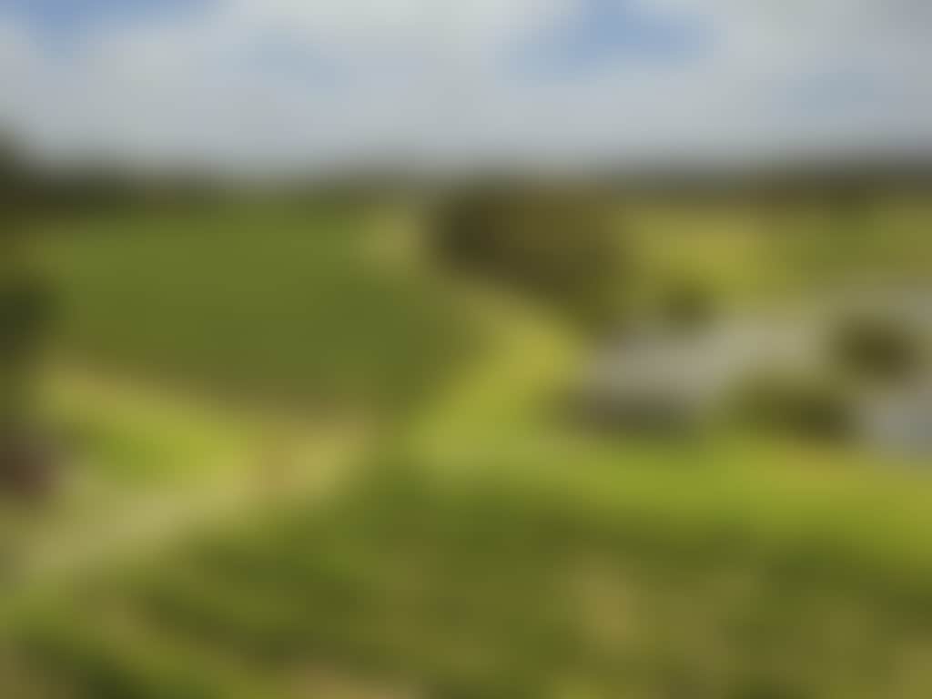 Sittella