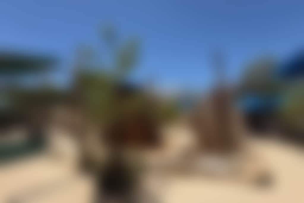 Stirling Arms Percys Playground cubby house