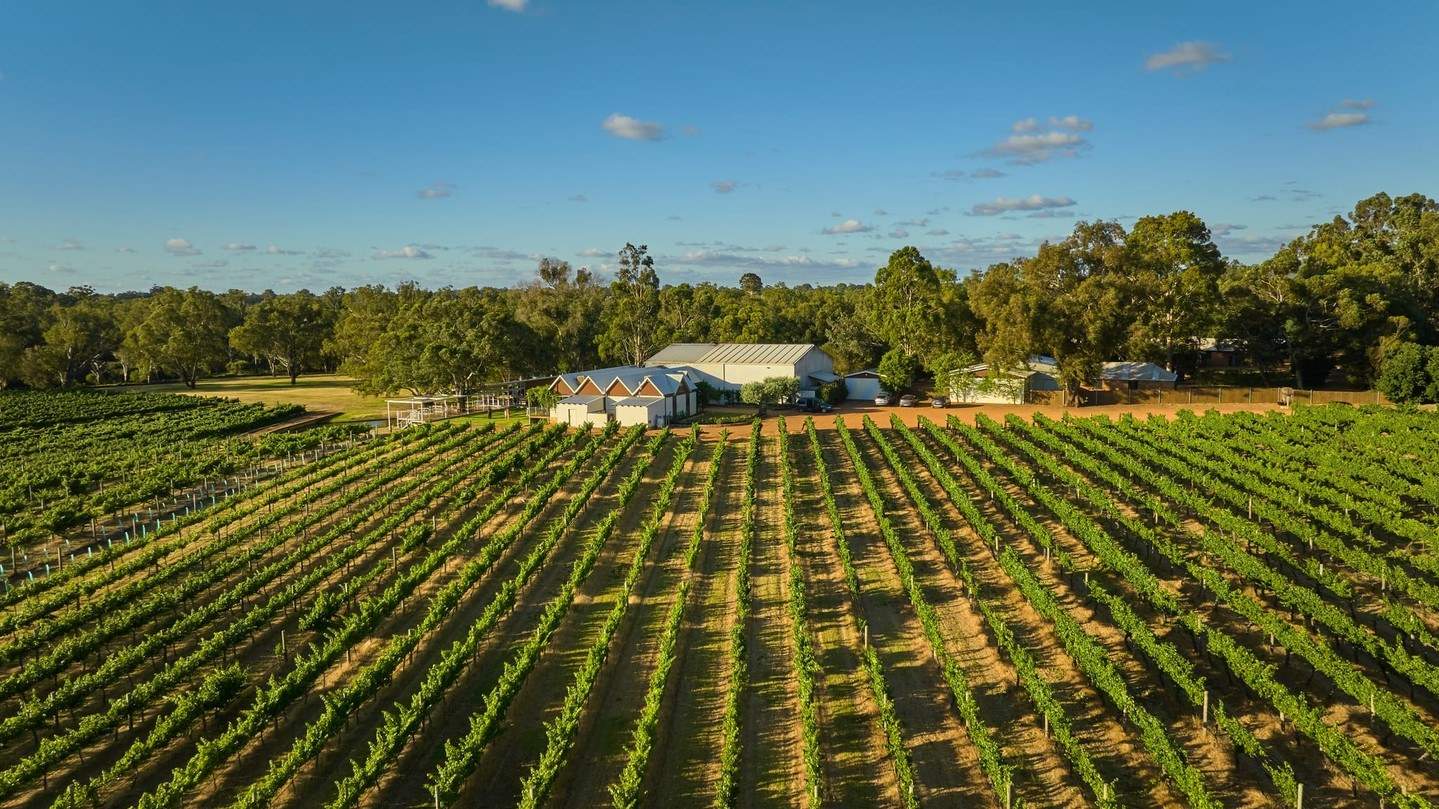 theswanvalley