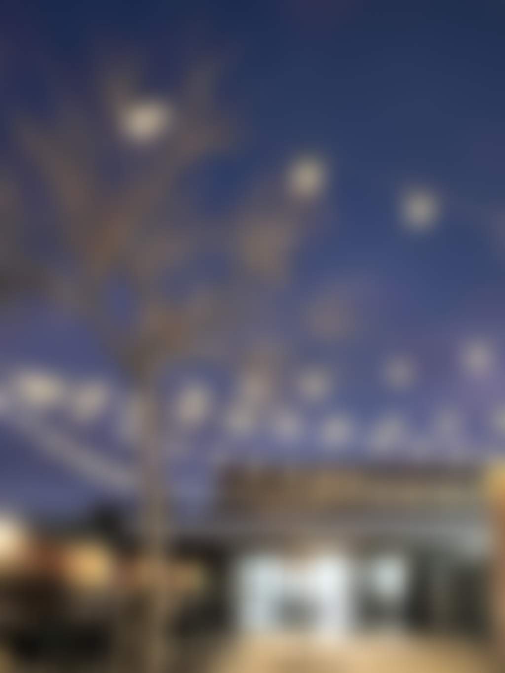 Jugnu Cafe and Restaurant