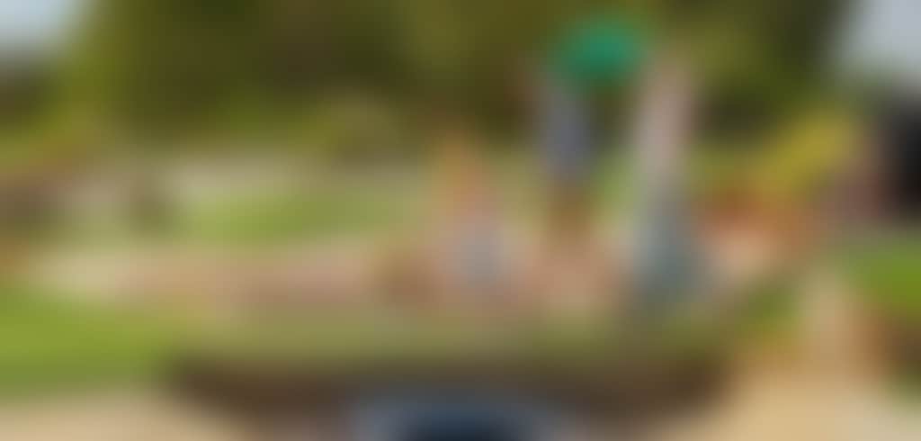 Family mini golf and picnic swan valley