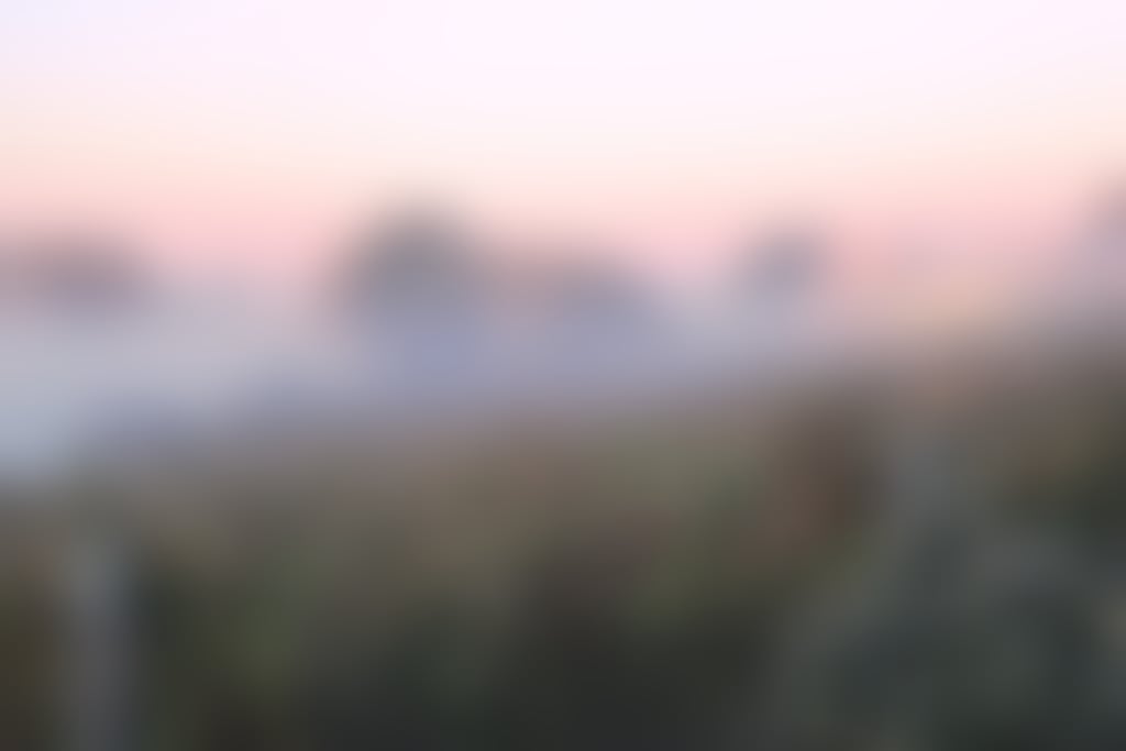 Sittella misty morning