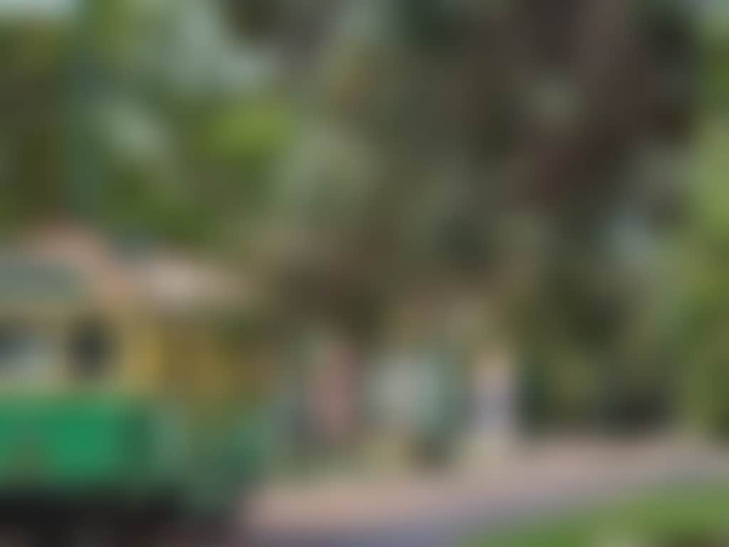 Whiteman park vintage tram