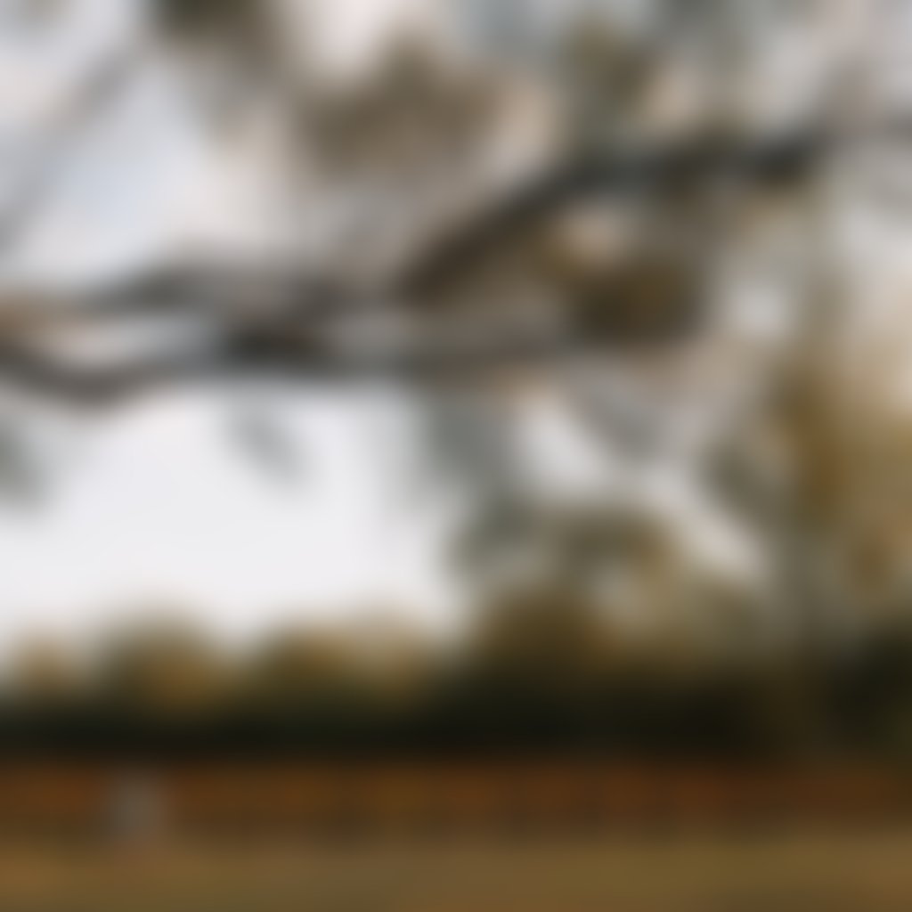 City of Swan Autumn Jarrad Seng 28 06 24 web 354