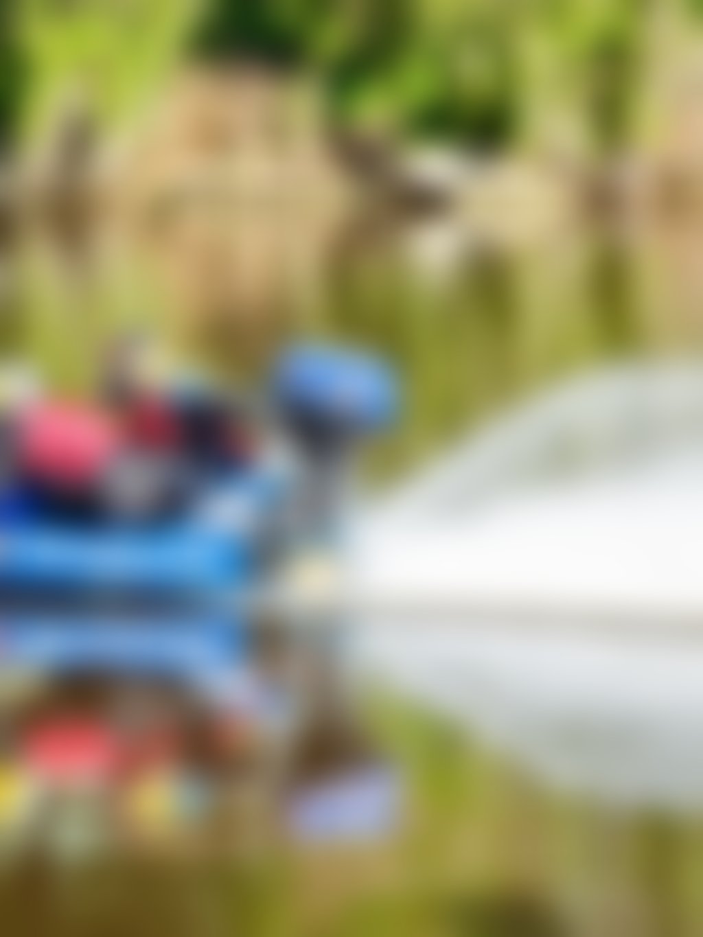 Avon Descent powerboat d