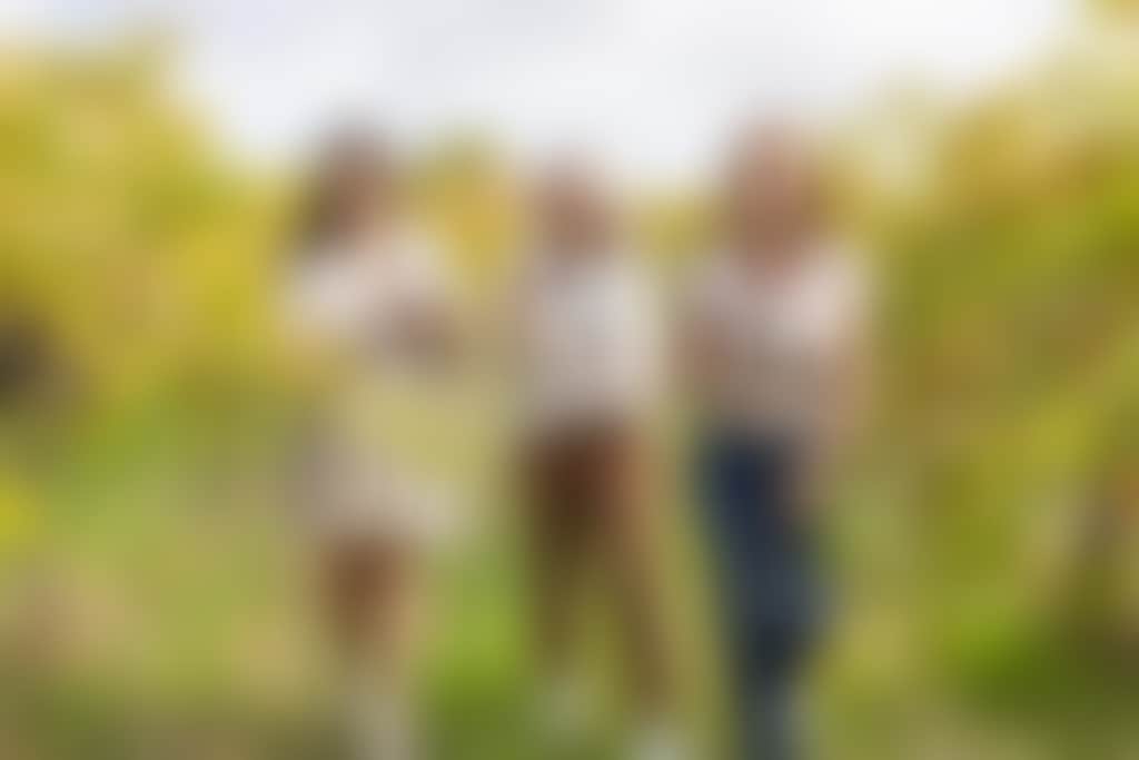 Hidden de Tours ladies in the vines