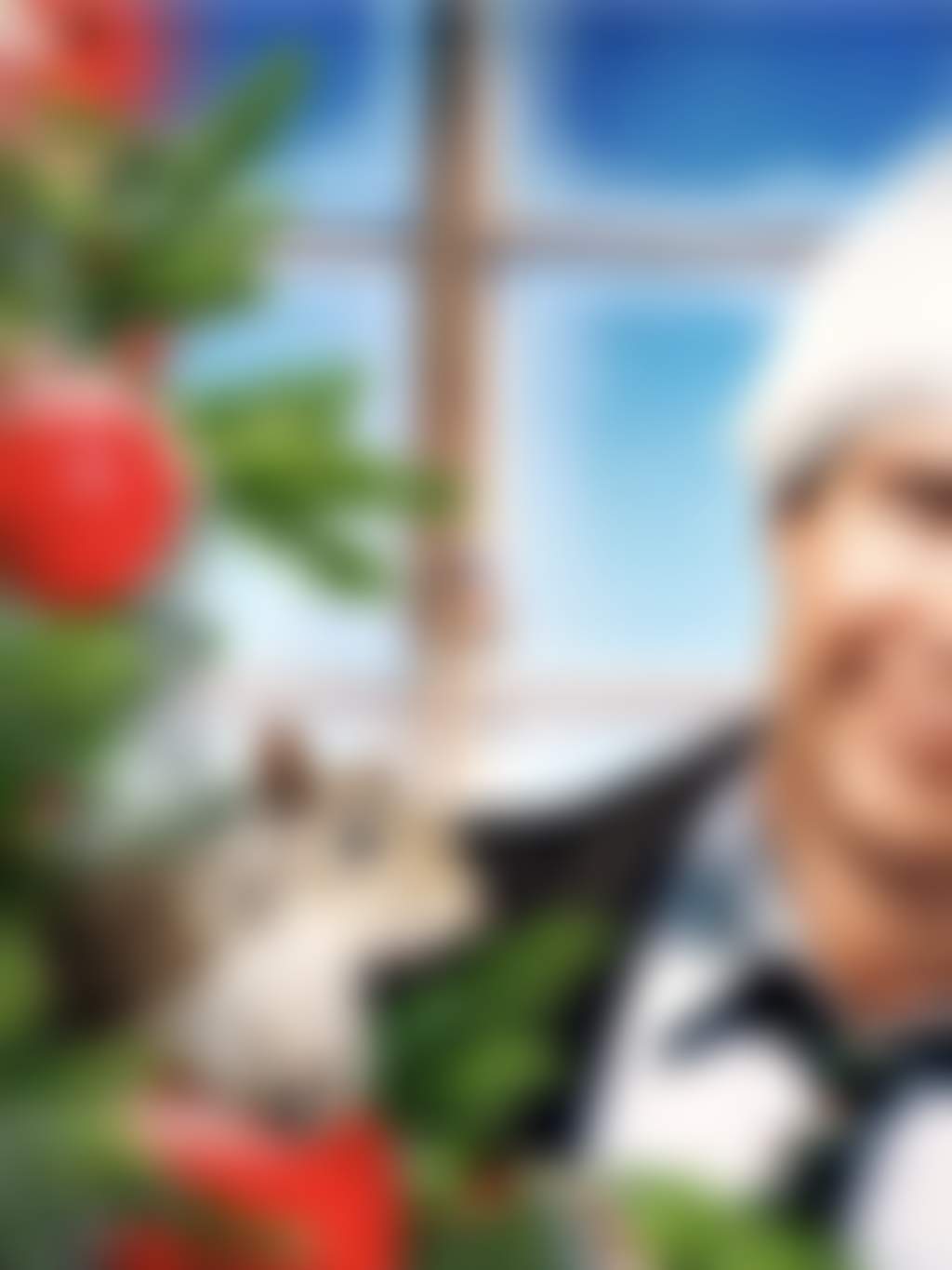 National Lampoons Christmas Vacation