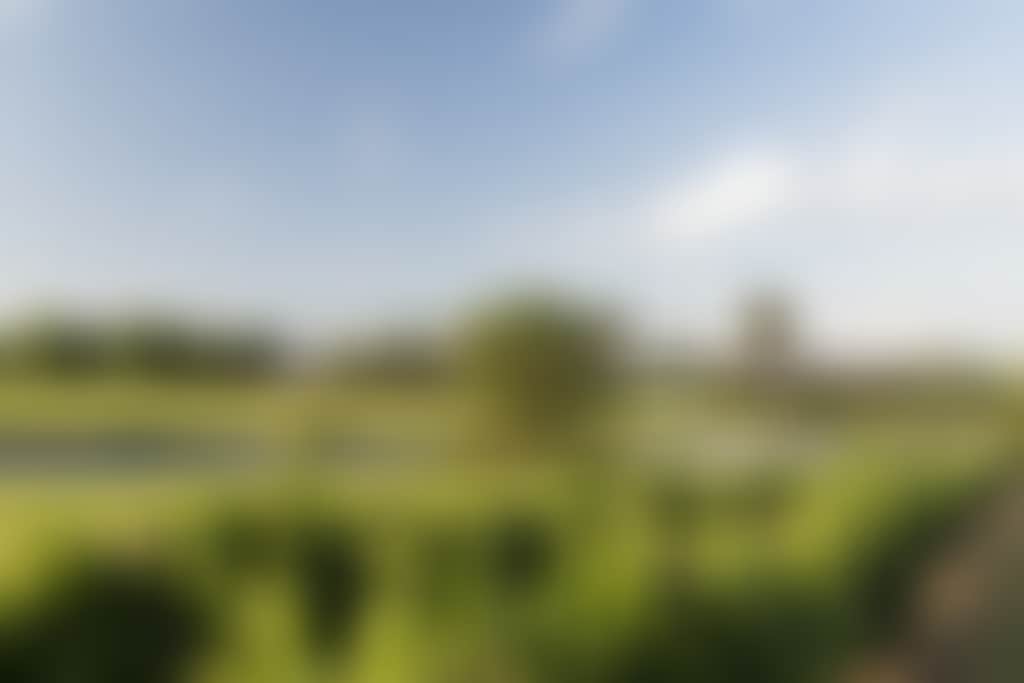 Sandalford view across the lake