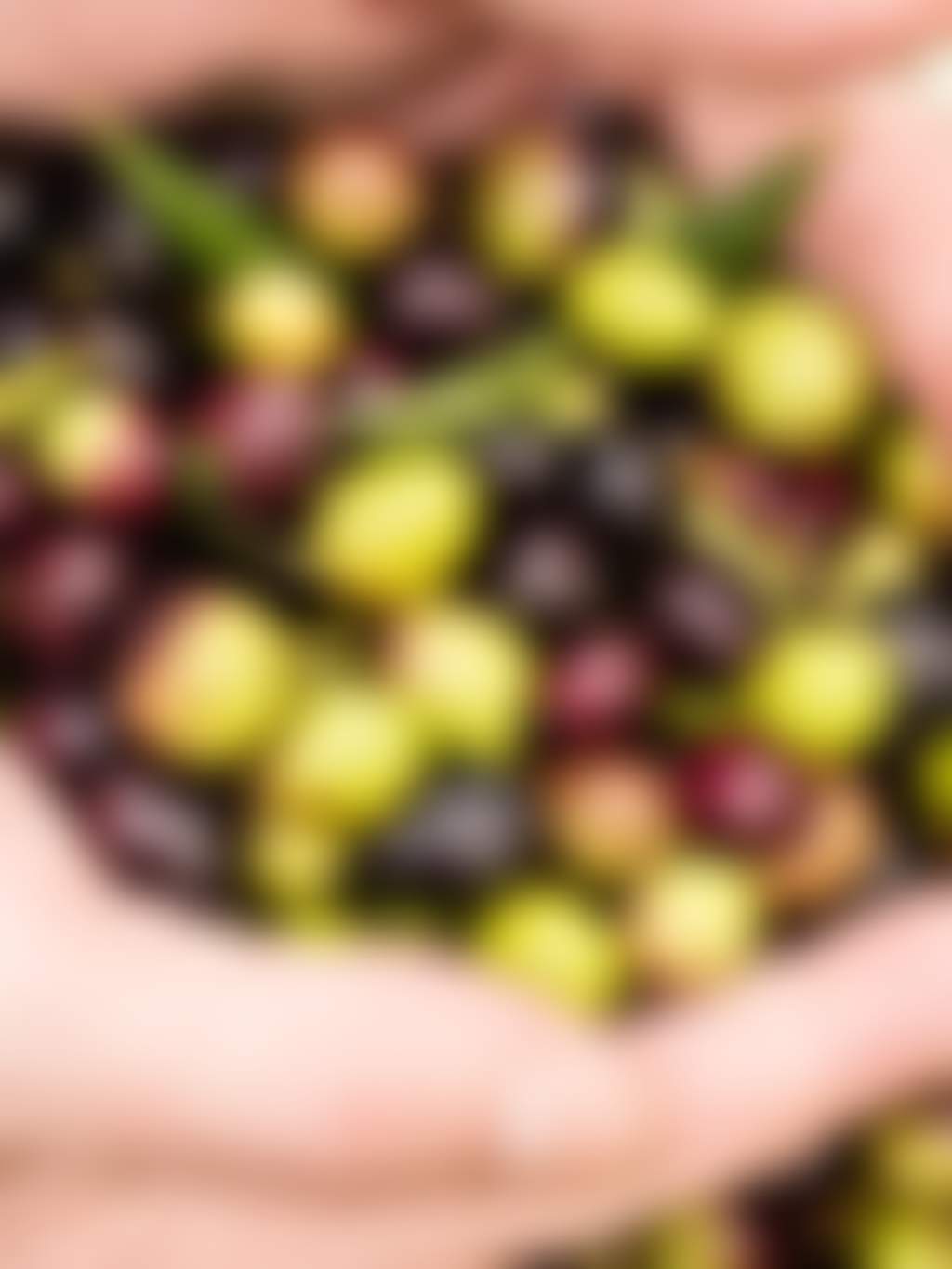 Olives d