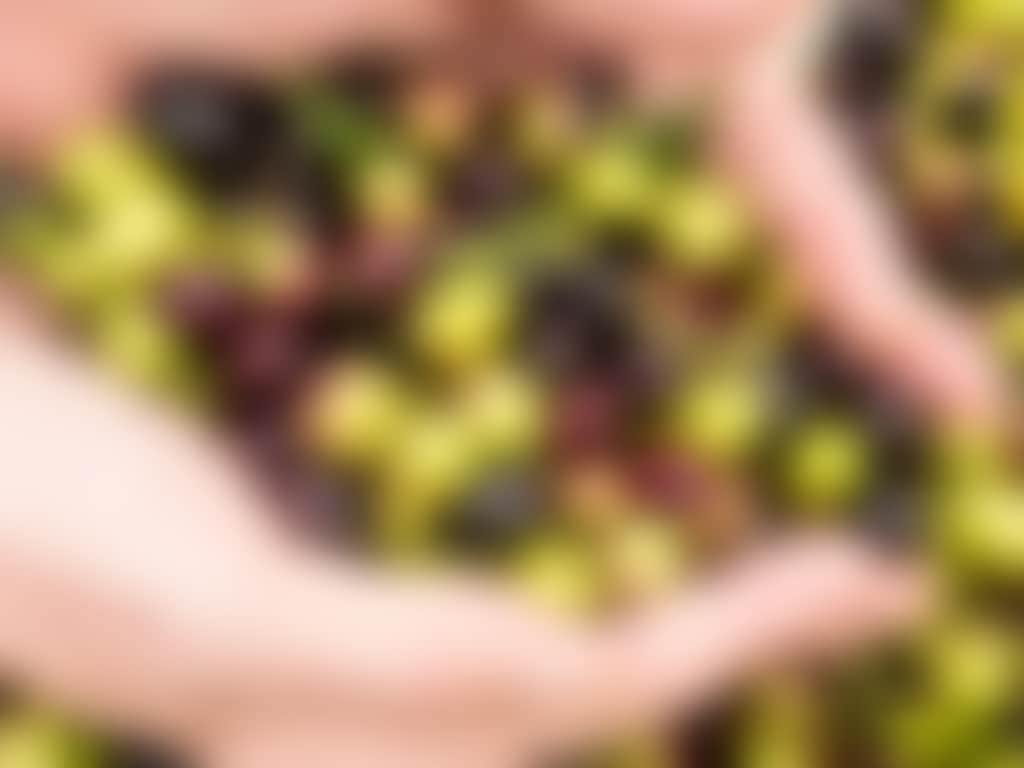 Olives d