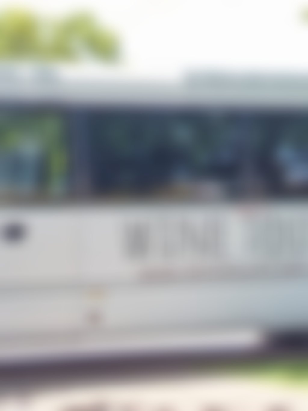 D Vine Wine Tours