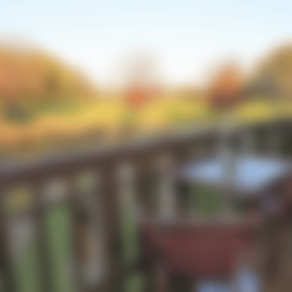 The vines resort