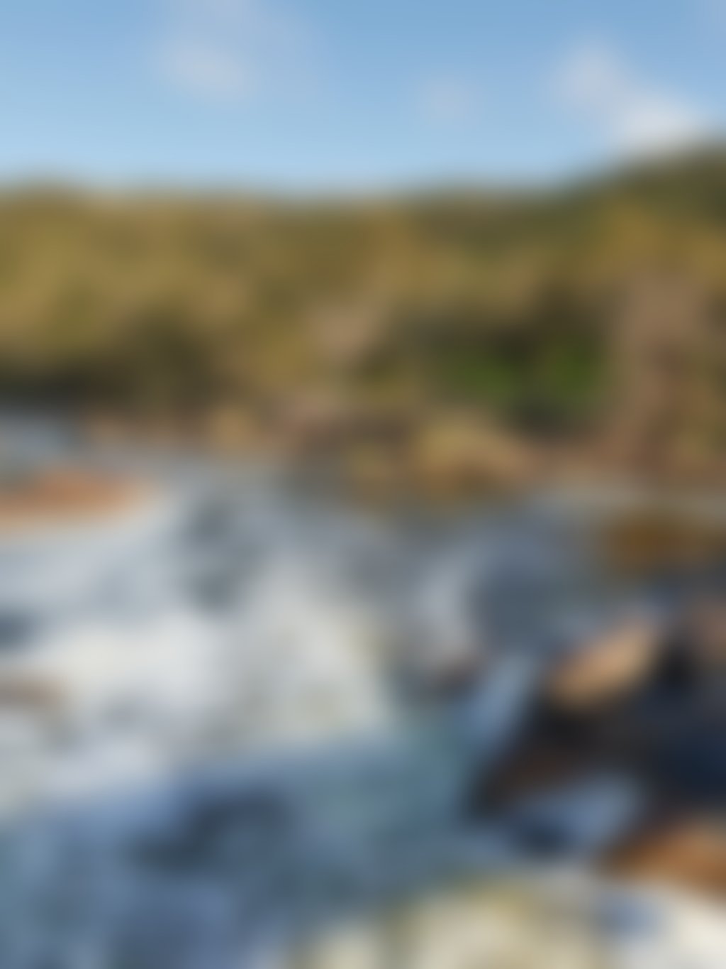 Bells Rapids Frances