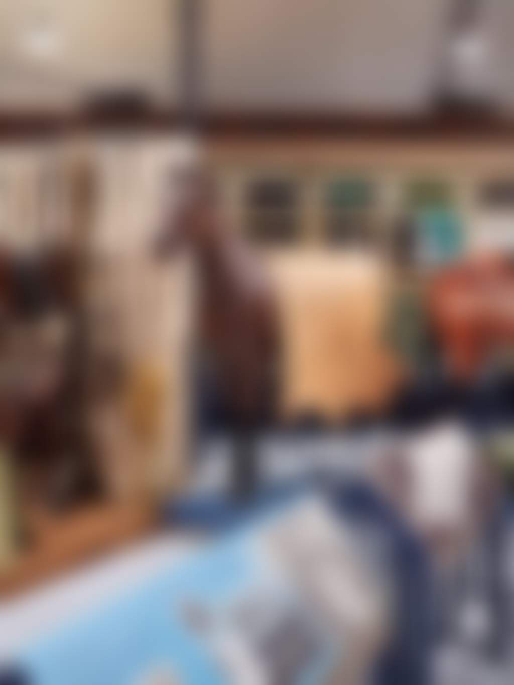 Revolutions saddlery display