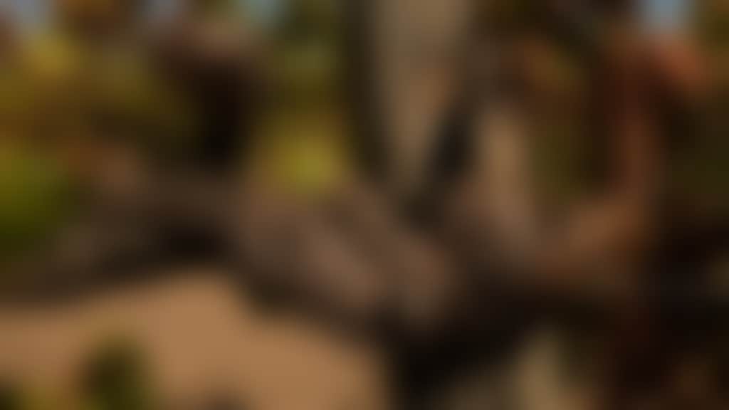 DSCF7724 Grenache c 1967