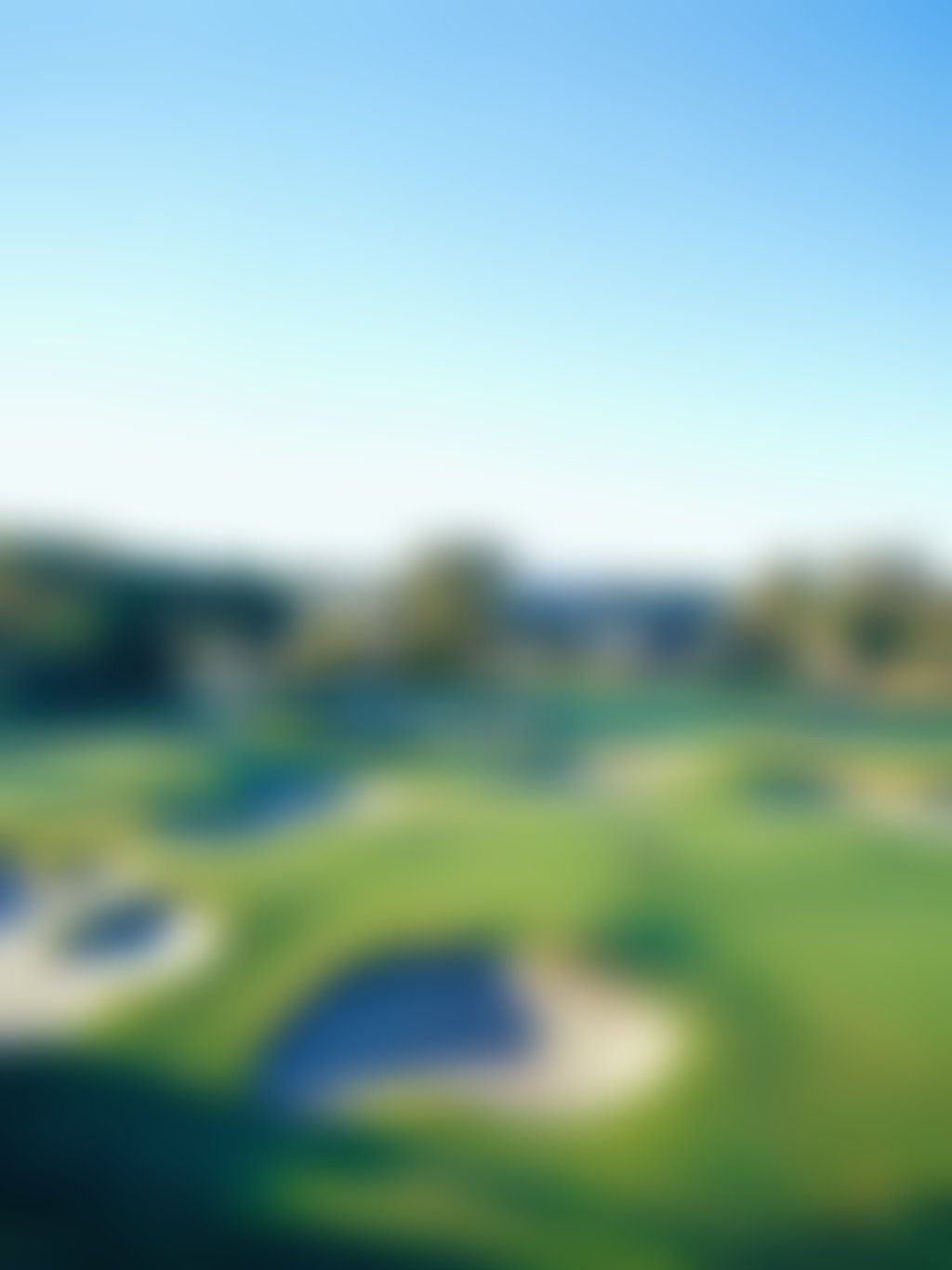 Vines Resort golf course view