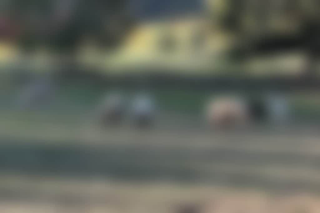 Settlers Rest autumn view of sheep in paddock