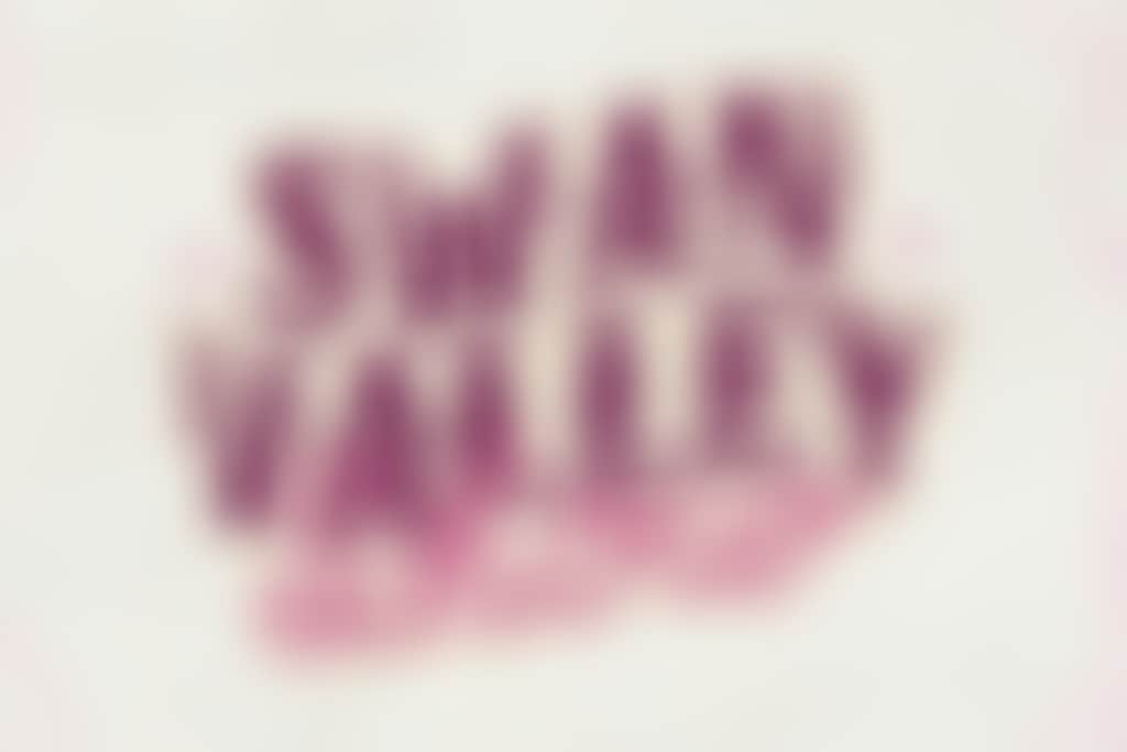 0005 SV Web graphic 432x768 1