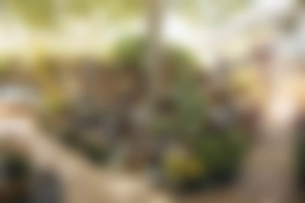 Swan Valley Station plants and garden ornaments