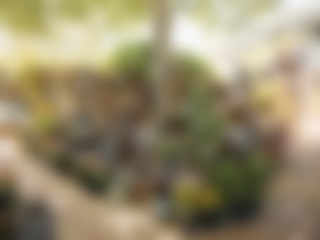 Swan Valley Station plants and garden ornaments