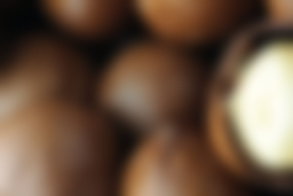 Baudin's Macadamias