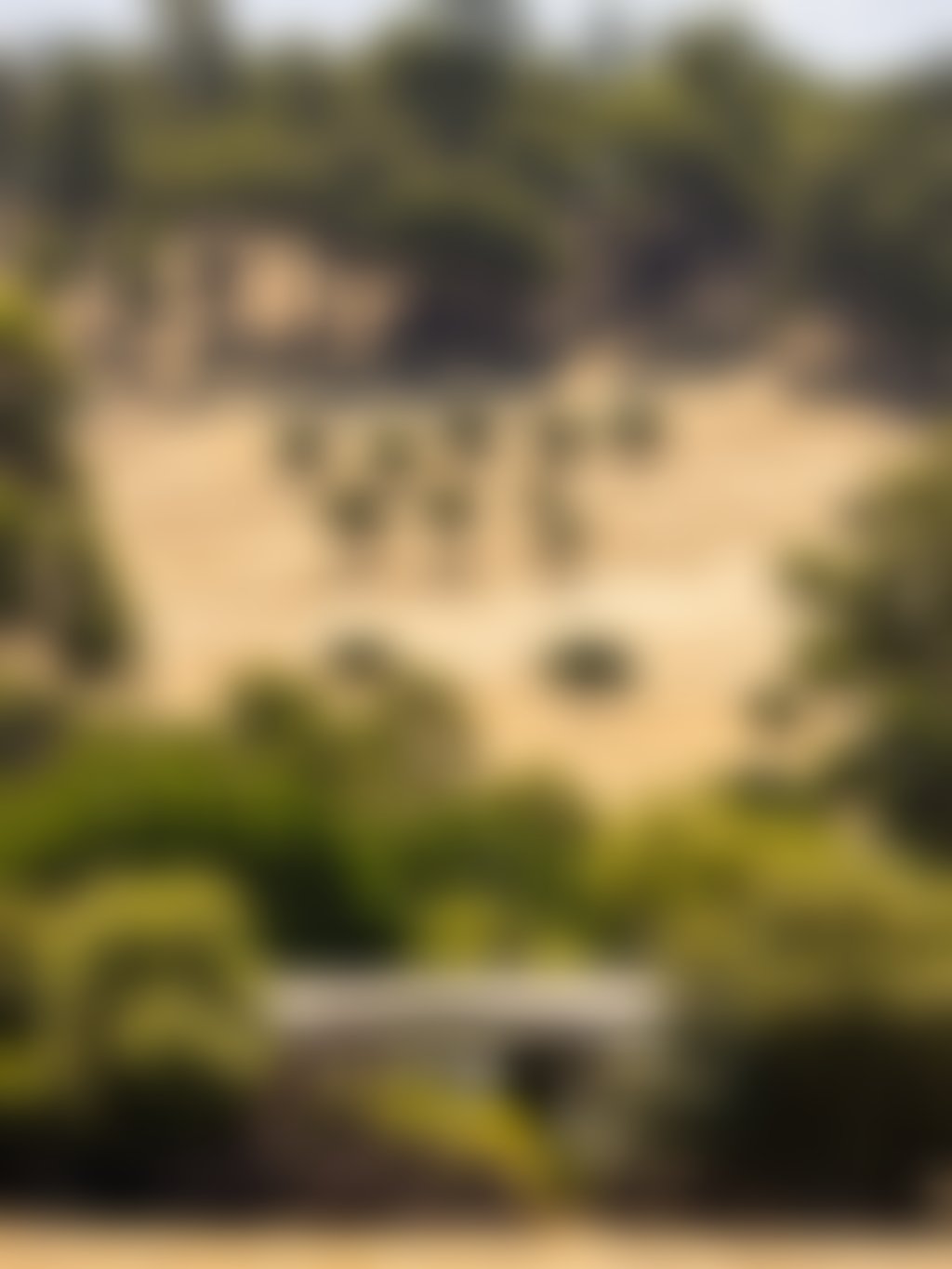 Gidgegannup 3 2320x3480