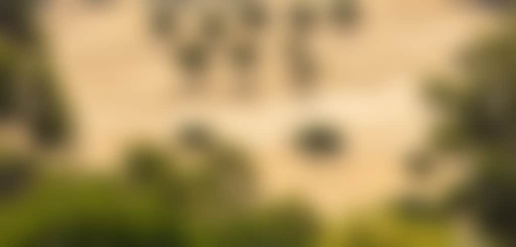 Gidgegannup 3 2320x3480